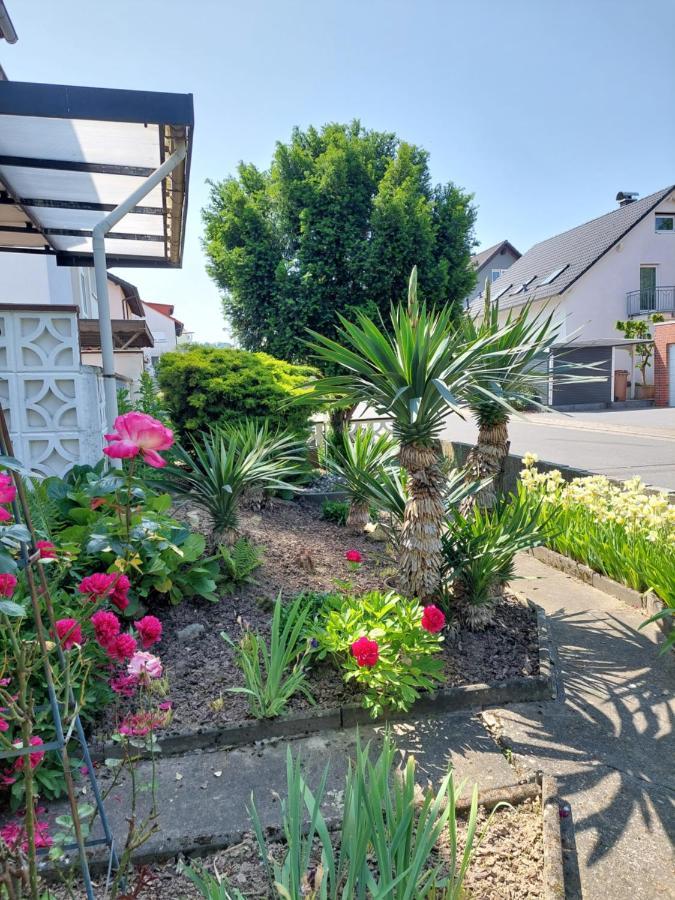 Urige Gemuetliche Ferienwohnung 64 M2 In Dielheim, Naehe Heidelberg 외부 사진